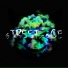bxxmwave, SefanStepaz