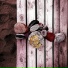 IN.S.O.M.A.A