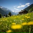 Koico Relaxation Music