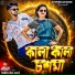 Bibhash Das