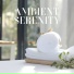 Calm Music Zone