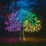 Lumenfall