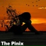 The Pinix