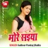 Sudheer Panday