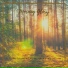 Instrumental Morning Music