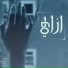 Adel Mohamed