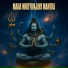 Sacred Tunes, Aashish Kaushik
