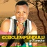 Zwelinndaba Zenzile feat. Intombi Emnyama