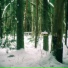 Valotihkuu