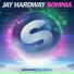 Jay Hardway