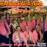 Banda Papayera