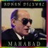 Seid Gabari