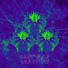 01. Peyote People