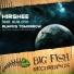 HIRSHEE & FREAKHOUZE FT. SUE CHO