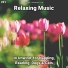 Slow Music, Relaxing Music, Yoga