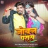 Virendra Vishal, Aisha Raj