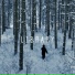 ZORAY