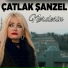 Çatlak Şanzel