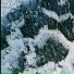 Nanii