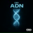 C2O, Shenn