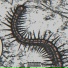 1NZZiDENT, KESHAZX24, ZXCURSEDUS