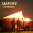 Gaviny