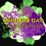 Murder Cat