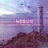 Nedug