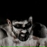 Human Aftermath