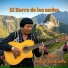 El Zorro De Los Andes