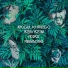 Abbbose, Mogul Khanigo, Azm Azim, ADIAZ