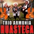 Trio Armonia Huasteca