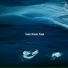 Leo Somna Music