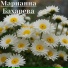 Марианна Бахарева