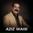 Aziz Waisi