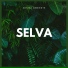 Sonidos De La Selva