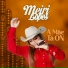 Meiri Lopes