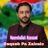Naseebullah Hassand