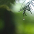 Spa, Mother Nature Sound FX, Yoga