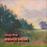Andy Brio