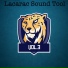 Lacarac Sound Tool