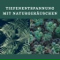 Tiefenentspannung Atmospheres