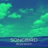 Reub Scott