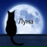 КОТ