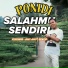 Ponidi