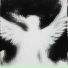 ShinraBrxken