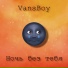 VansBoy