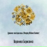 Вероника Борисенко