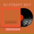 DJ Steavy Boy