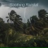 symphony orchestra Meditation and relaxation